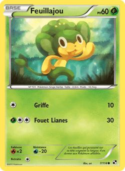 Carte Pokémon Feuillajou #7 — Noir & Blanc