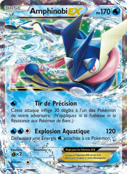 Carte Pokémon Amphinobi EX #XY20 — Promos X&Y